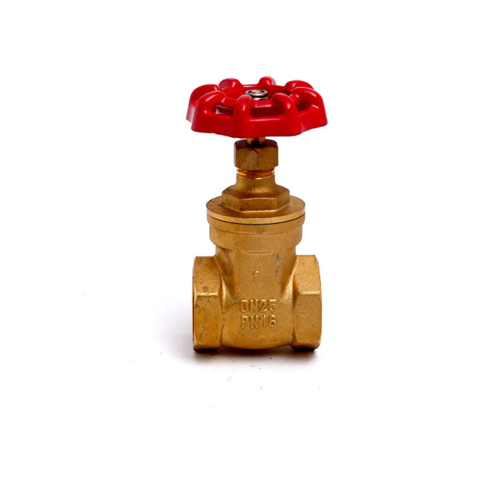Brass Gate Valve 1"