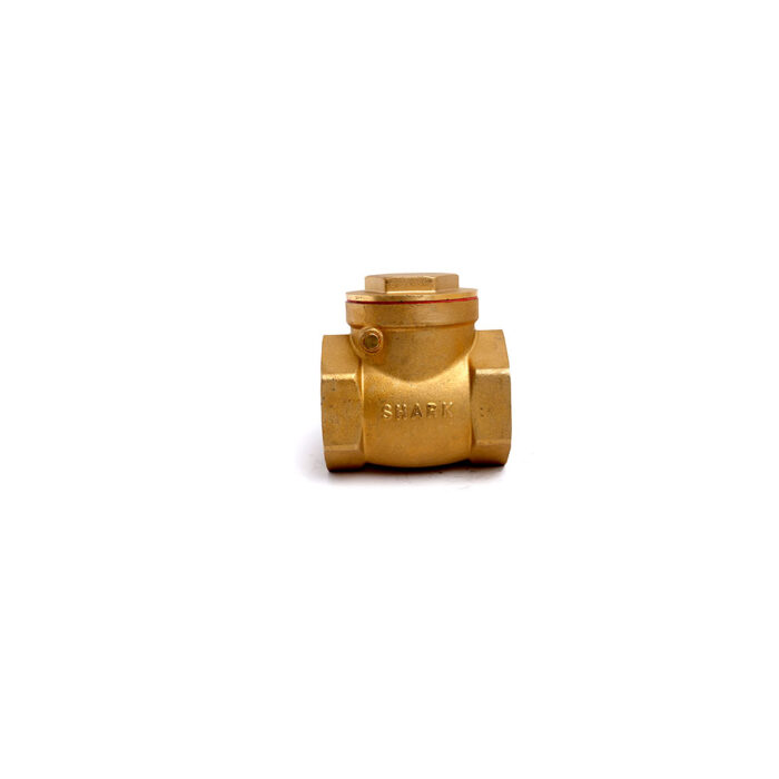 Brass Swing Check Valve 1"
