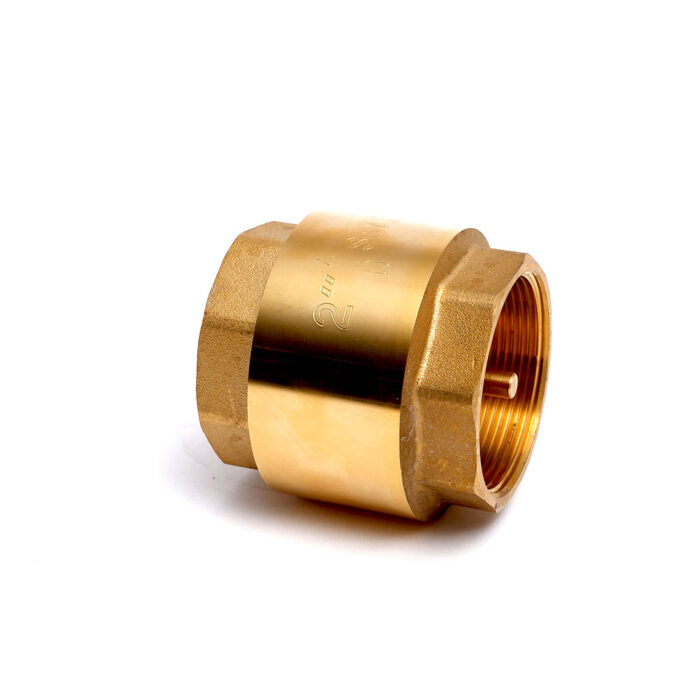 Brass Vertical Check Valve 2"