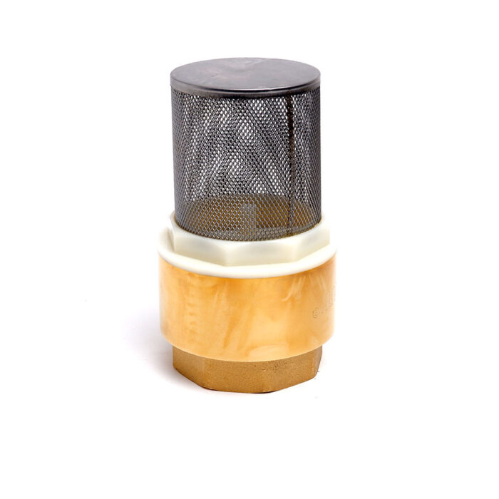 Brass Foot Valve 2"